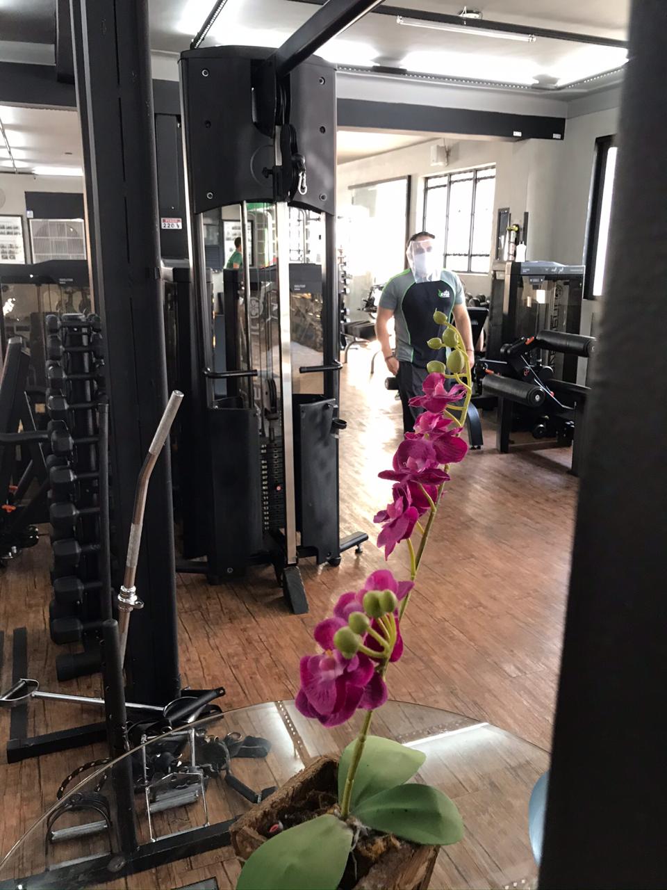 O Que É Melhor Zumba Ou Musculação Academia Êxito